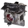 Lampe de Projecteur RLC-108