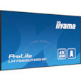Moniteur Professionnel pour L
