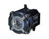 Ampoule pour Datashow NEC NP-PA622U, PA722X, PA672W