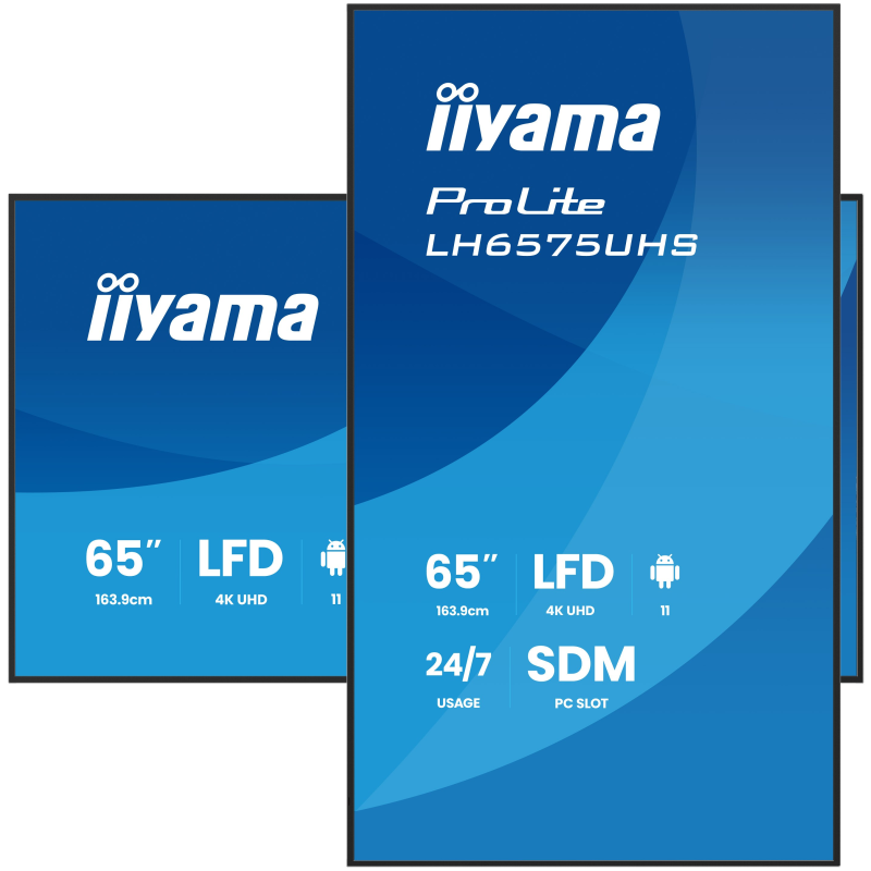 Moniteur Professionnel pour L'affichage Dynamique 65 Pouces 4K UHD 24/7 LH6575UHS-B2AG