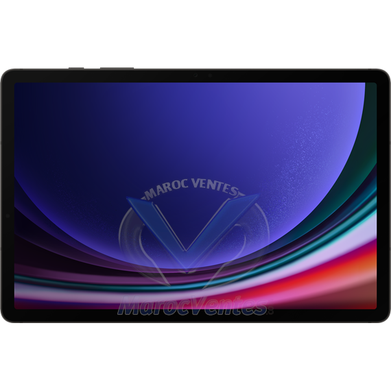 SAMSUNG Galaxy Tab S9 11" 12+256GB Graphite SM-X716BZAEMWD