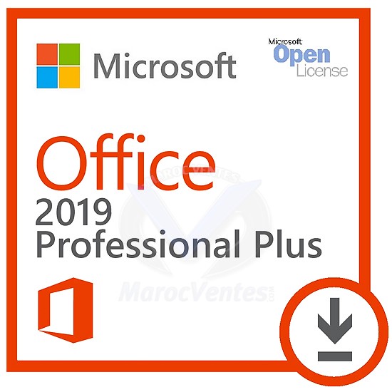 Office Professional Plus 2019 Licence 1 PC  Single Language 79P-05729