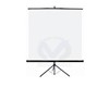 Ecran de Projection Professionnel Trépieds & Portable 1,20x1,20M-1,60x1,60M-1,80x1,80M-2,00x2,00M- 2,40x2,40M DINON TREP1.20